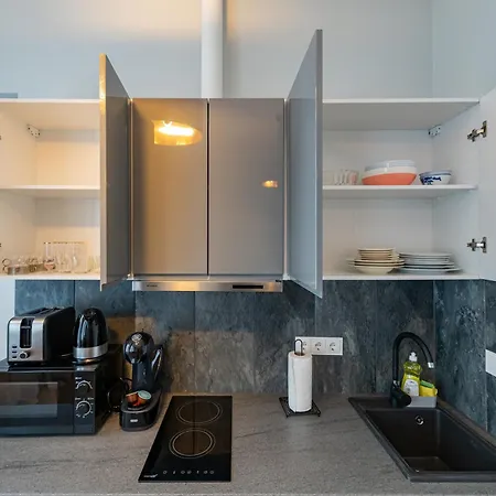 Elegant City Center With Free Parking By Polo * Kaunas