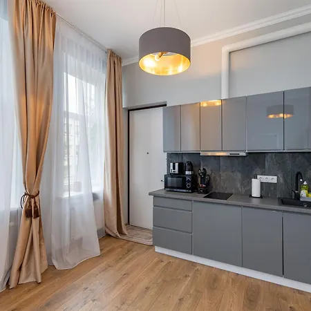 Elegant City Center With Free Parking By Polo Kaunas