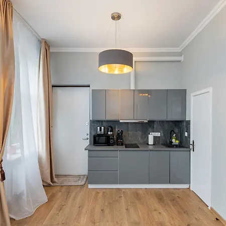 Elegant City Center With Free Parking By Polo Apartment